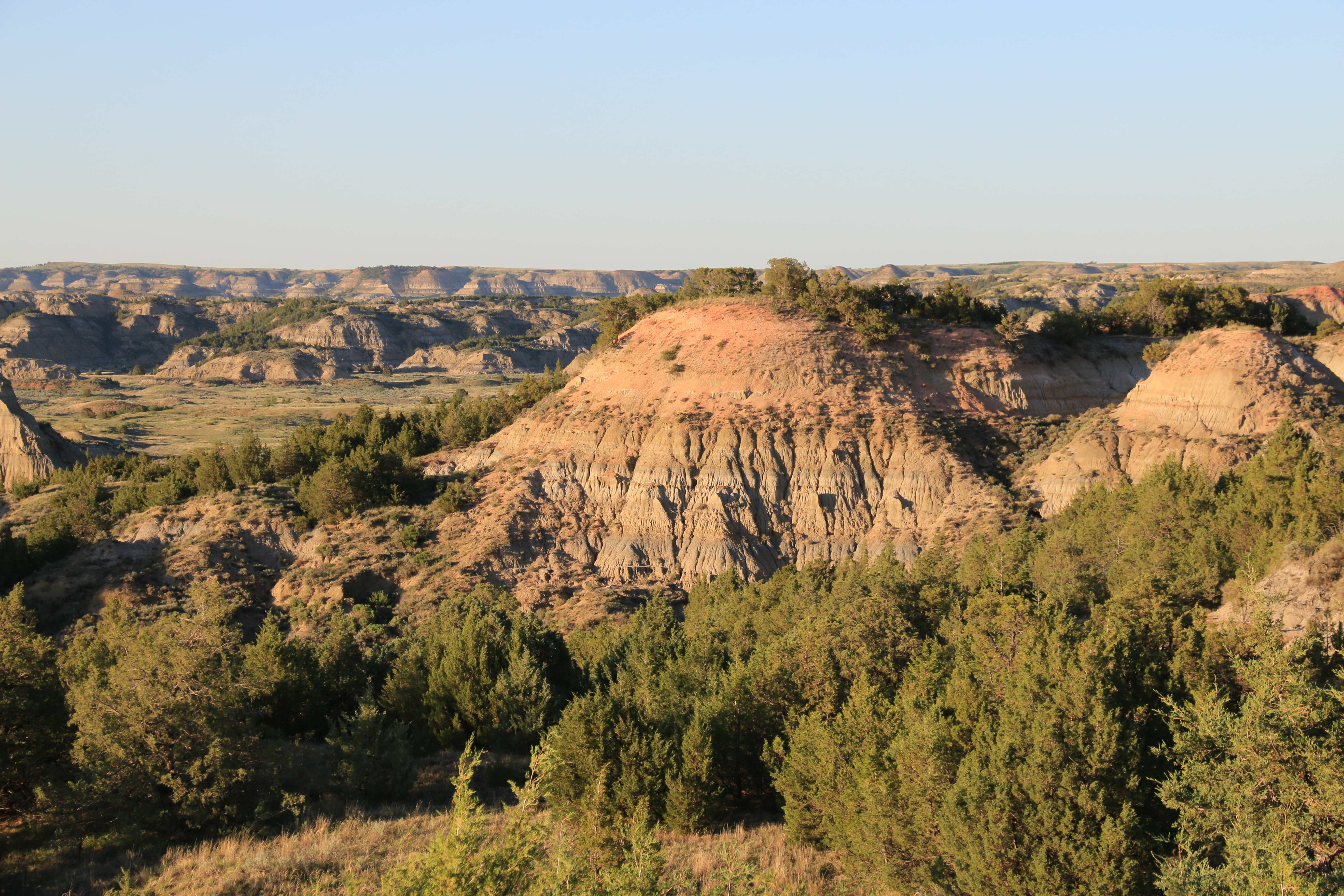 Theodore Roosevelt NP